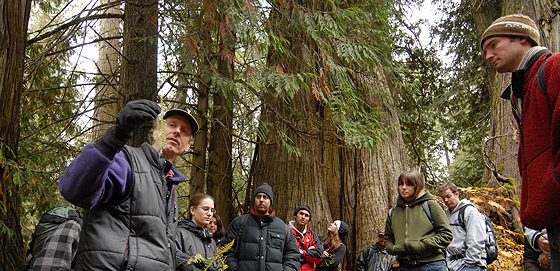 UNBC prof pushing Ancient Forest to become a World Heritage Site