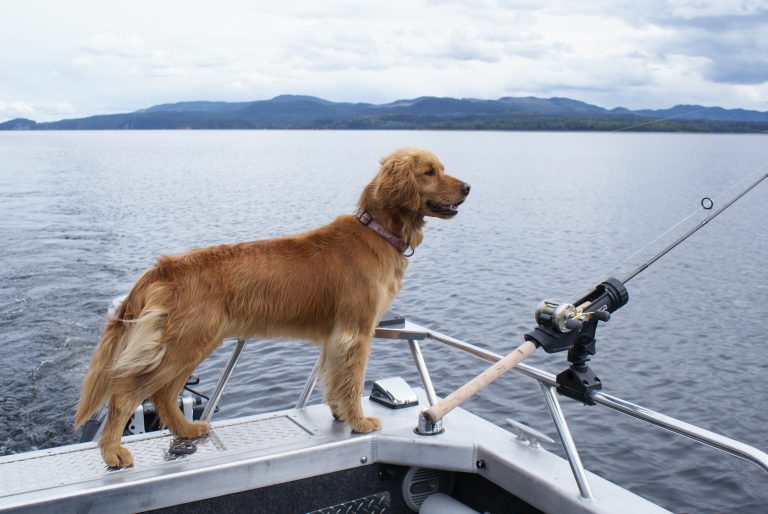 Stuart Lake Fishing Derby this weekend