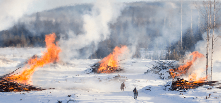 Pellet industry could triple with access to slash piles