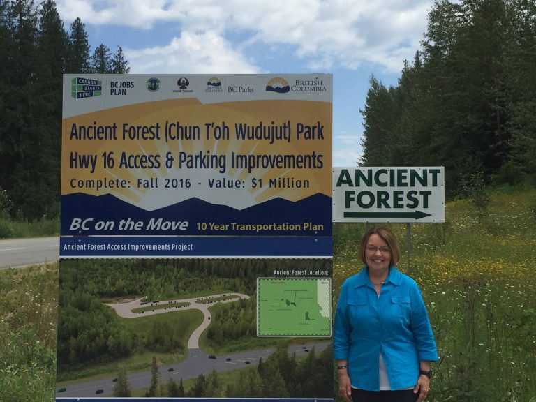 Ancient Forest getting Hwy 16 intersection