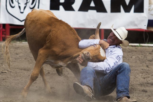 Vancouver Humane Society sets its crosshairs on Williams Lake Stampede