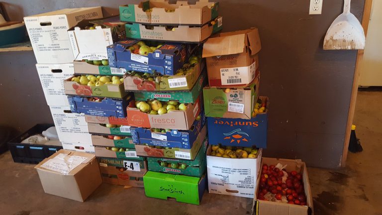 Wildlife shelter seeks fruit and vegetable donations