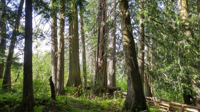 Canada puts out open call for UNESCO World Heritage Sites