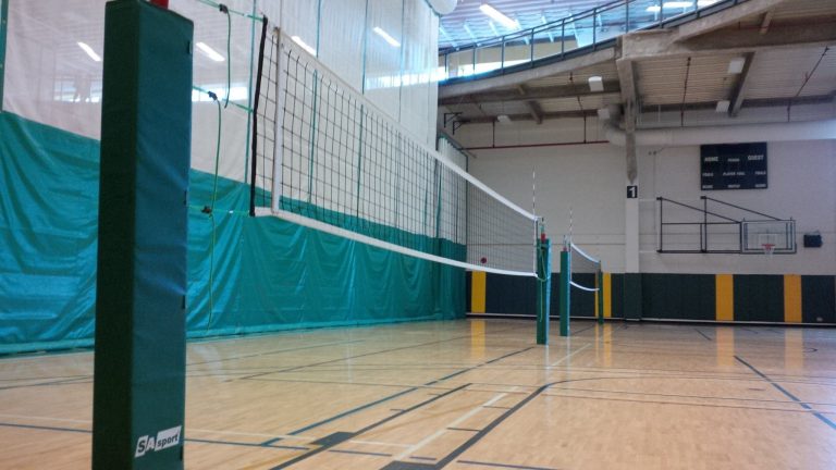 Partnership hopes to bring Pan-American volleyball tournament to Prince George