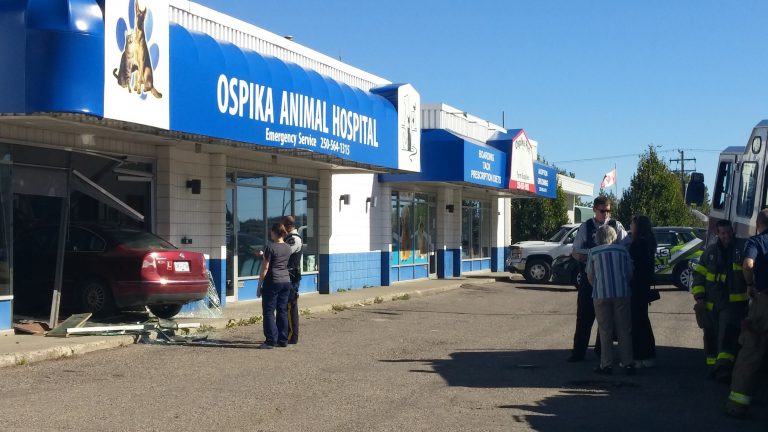 Car drives into Ospika Animal Hospital