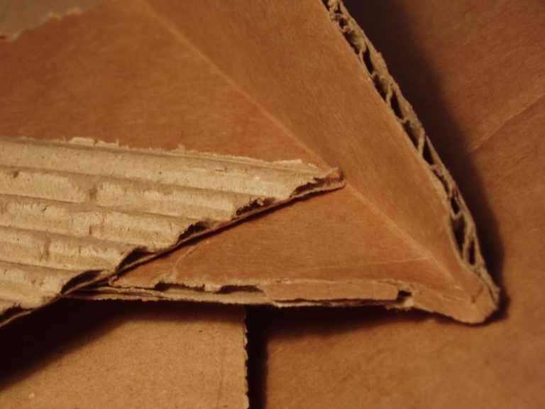 RDFFG planning to ban cardboard from landfill for business and industry