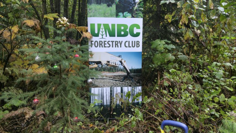 Student run Christmas tree farm taking root at UNBC