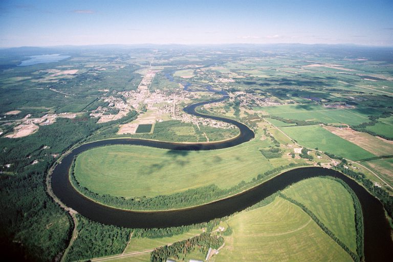 Salmon stocks on a slow road to recovery in the Nechako River