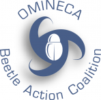 Omineca Beetle Action Coalition says it still has more work to do