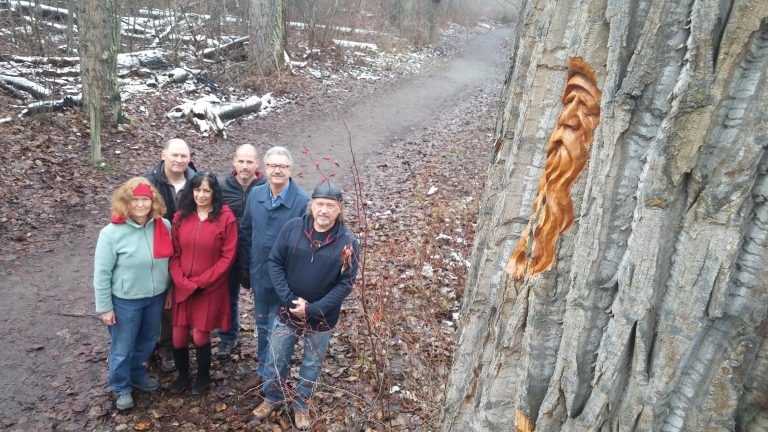 Six new faces carved into trees in Cottonwood Island Park