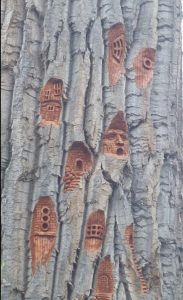 Face and fairy houses carved into a tree in the park