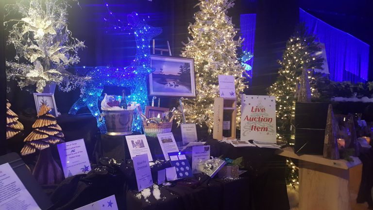 Festival of Trees gala auction raises $200K for upcoming Breast Imaging Center