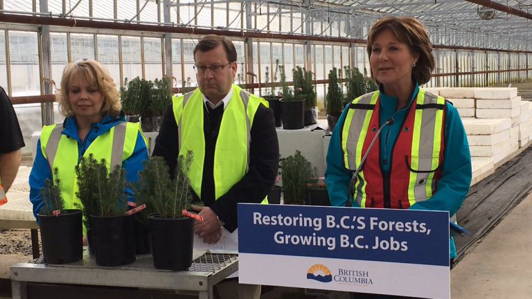 Premier announces $150M investment for BC Forests to fight climate change