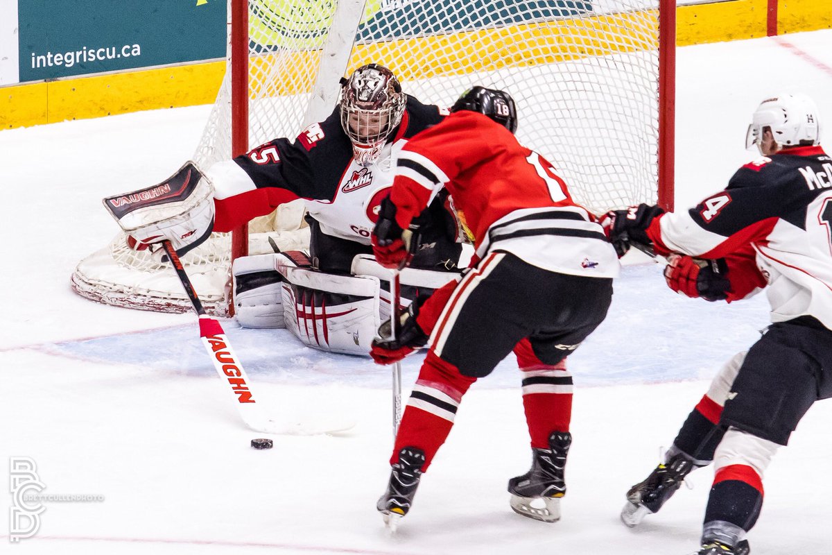 Superb goaltending from Cole puts the Cougars in a hole - My Prince ...