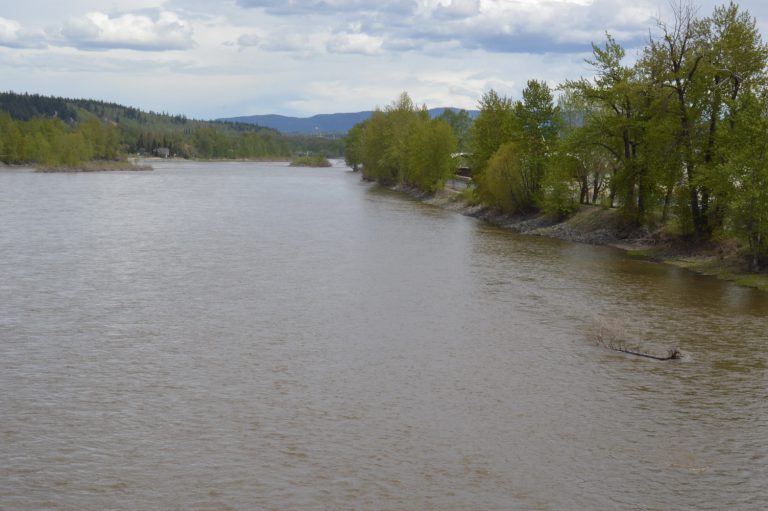 Officer and dog save woman from Nechako River