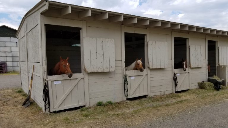 Agriplex gets $100,000 added on for renovations