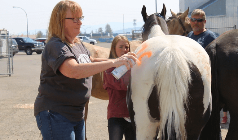 Prince George is now hosting nearly 3,000 people evacuated due to wildfires in the Cariboo