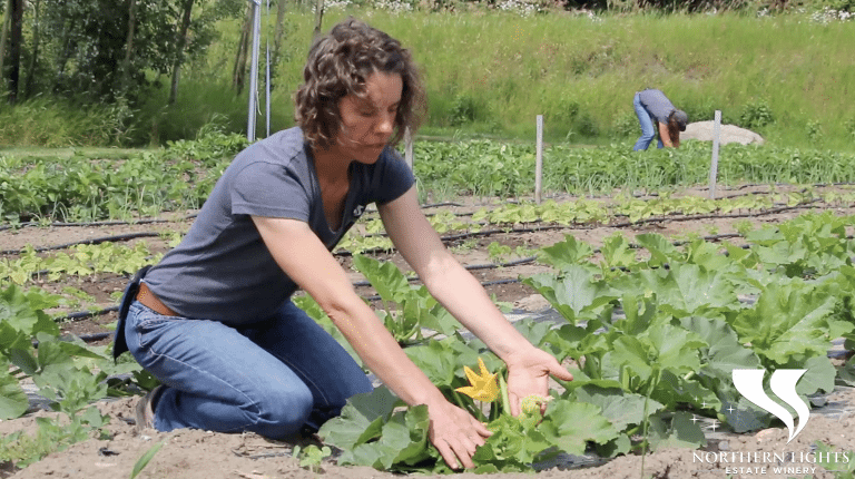 Northern Estate Winery – Orchard Tour with Noemie