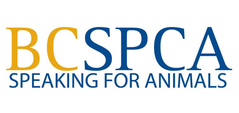 BC SPCA’s Animal Shelter Operations contract coming to an end in Prince George