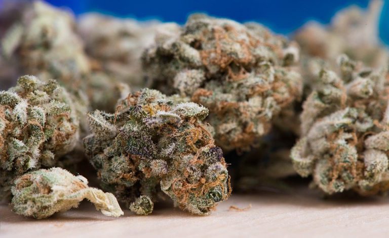 New research links marijuana use to testicular cancer