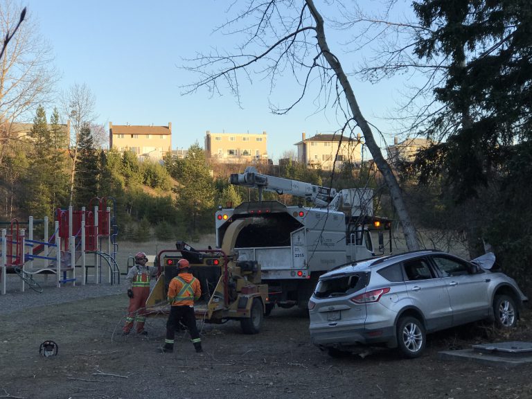 Police investigating crash at Gordon Bryant Park