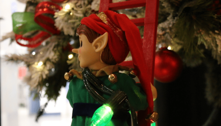 There’s only 3 days left of the 24th Annual Festival of Trees in Prince George.