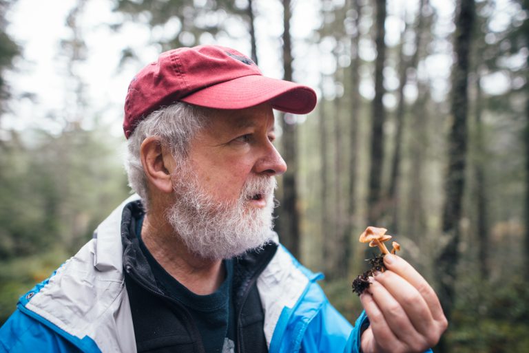 Talk On How Wild Mushrooms Help Forest Thrive