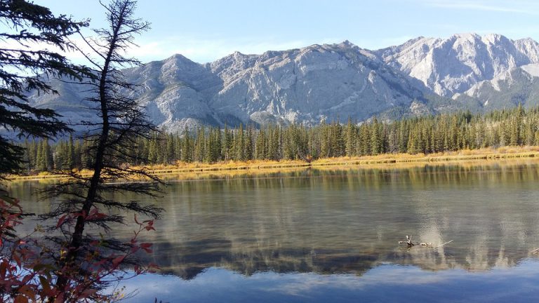 UNBC professor analyzes human impact on protected land