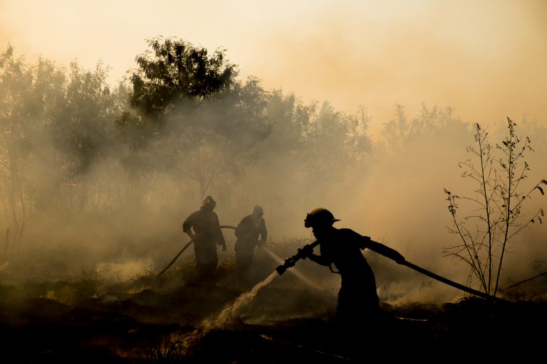 $40,000 worth of wildfire fighting equipment stolen from volunteer hall