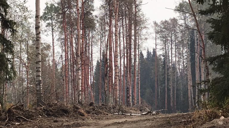 WATCH: Verdun Mountain wildfire leaves heavy toll on residents, firefighters