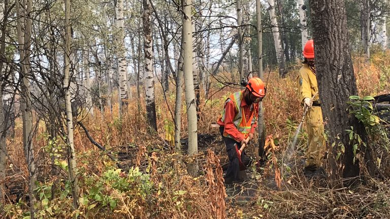 Prince George fire department now recruiting