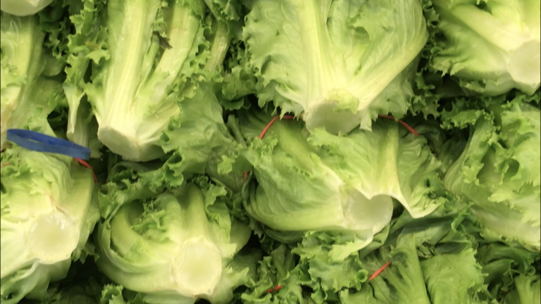 WATCH: ‘Romaine’ calm, Prince George!