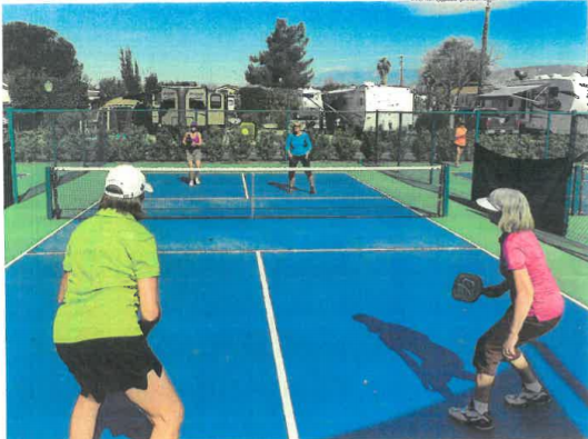 Council shoots down Pickleball project