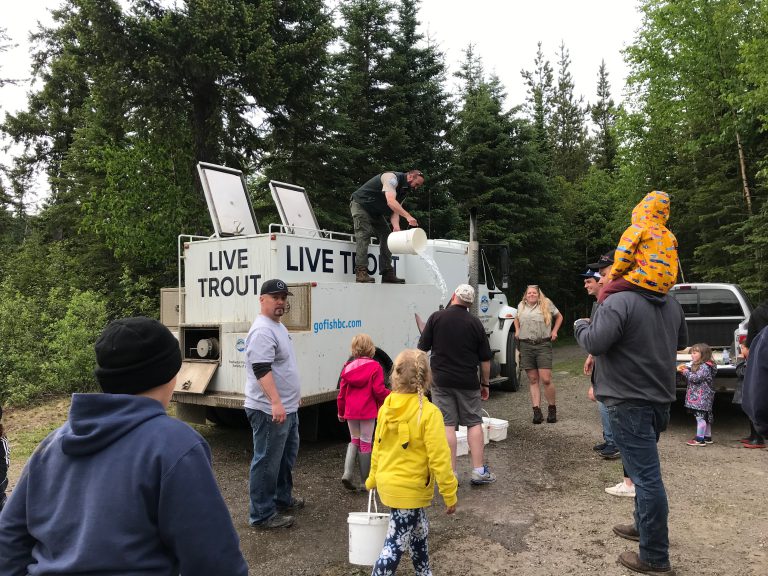 WATCH: Free the fish!: Trout release at Shane Lake