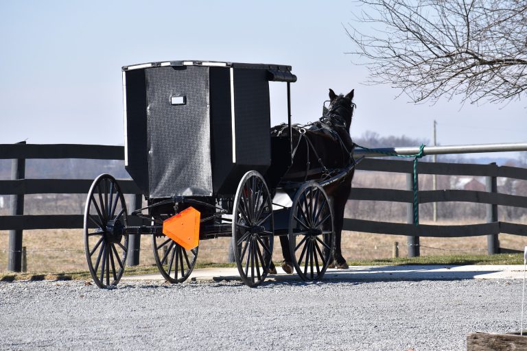 South Cariboo Man Sentenced For Driving His Vehicle Into A Horse And Buggy