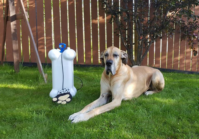 Cariboo man secures US patent for portable pet washing station