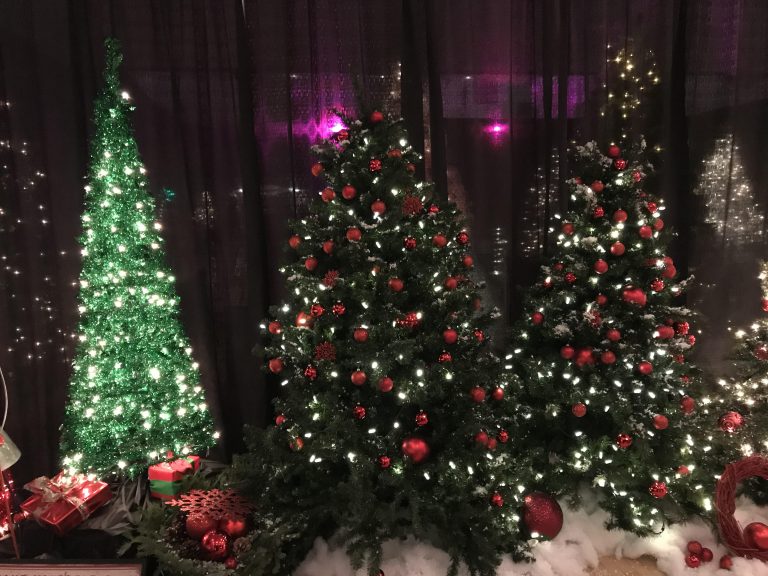 26th year of Prince George tradition continues as Festival of Trees gains traction