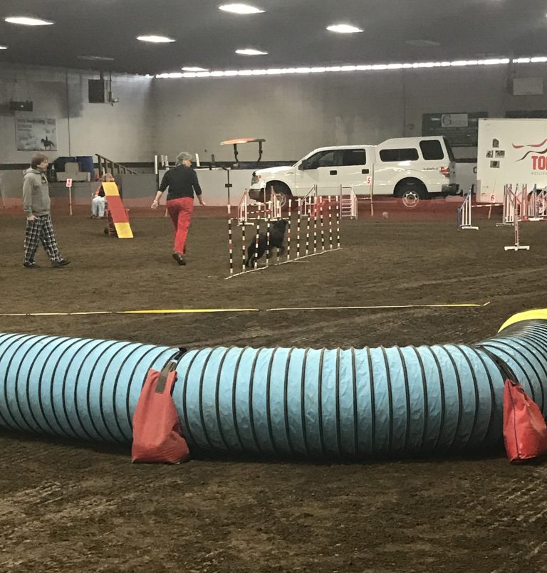 Dog handlers undergo agility trial today in PG