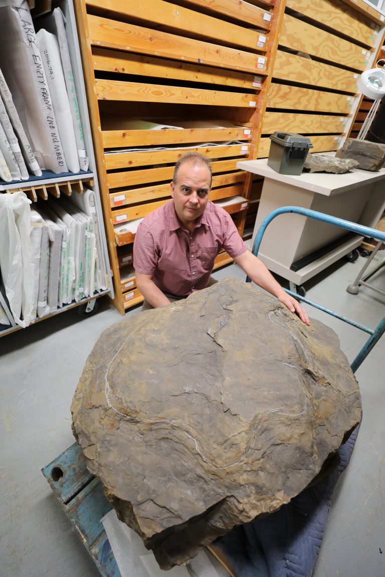 Prince George fossil history hits the big screen in new TV series