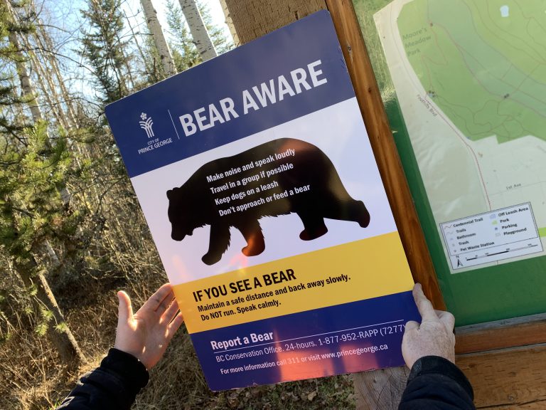 Prince George aims for ‘bear smart’ community status by installing warning signs