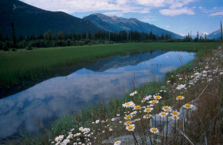 Most BC Parks open for May long weekend