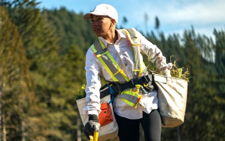 Documentary filmed near Prince George brings people behind the scenes of tree planting