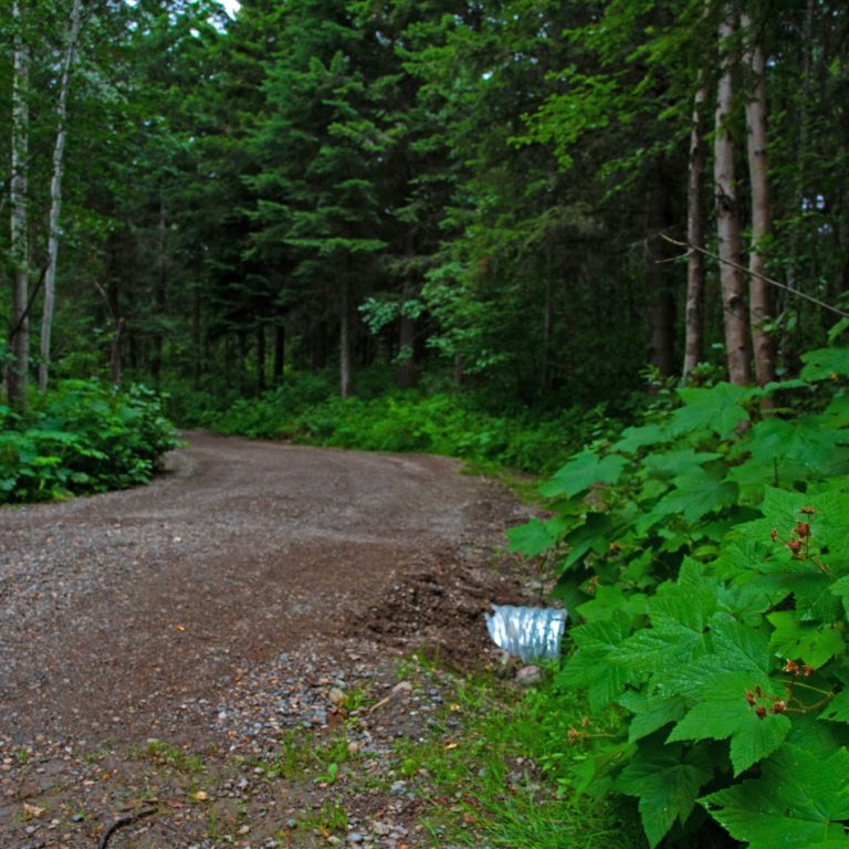 Construction begins for improvements on Shane Lake