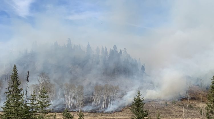 Controlled burn gets the go ahead for Deka Lake in the Cariboo