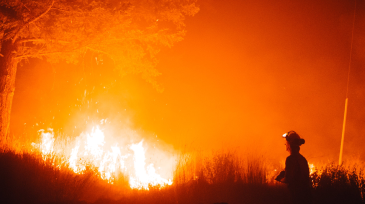 6000 HA wildfire being held in PG Fire Centre - My Prince George Now