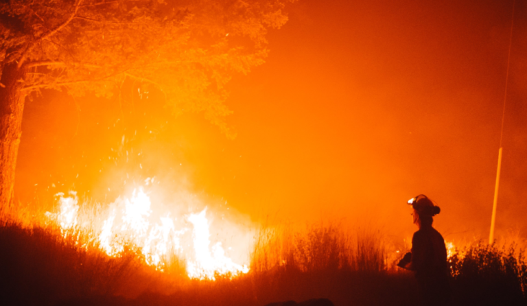 6000 HA wildfire being held in PG Fire Centre