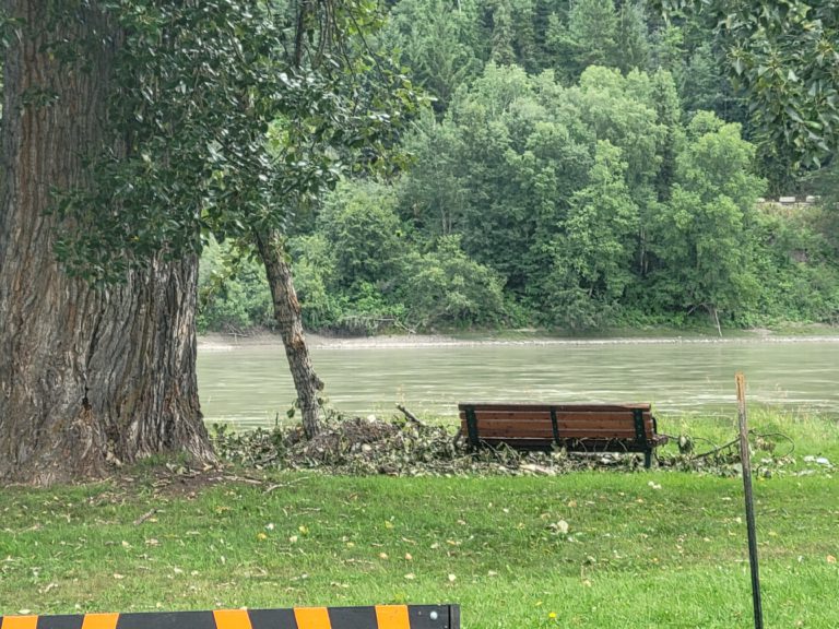 Park benches to be moved after PG man dies from a falling branch