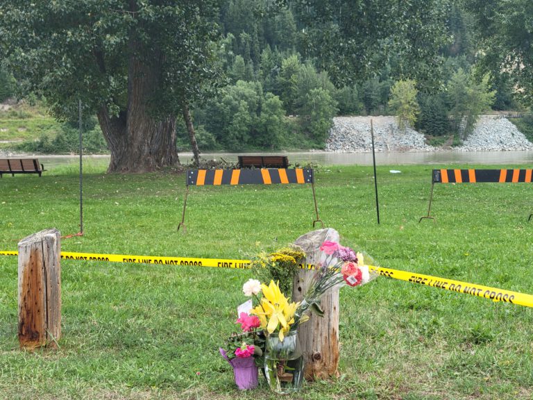 Tree assessment expert says Paddlewheel Park death was preventable