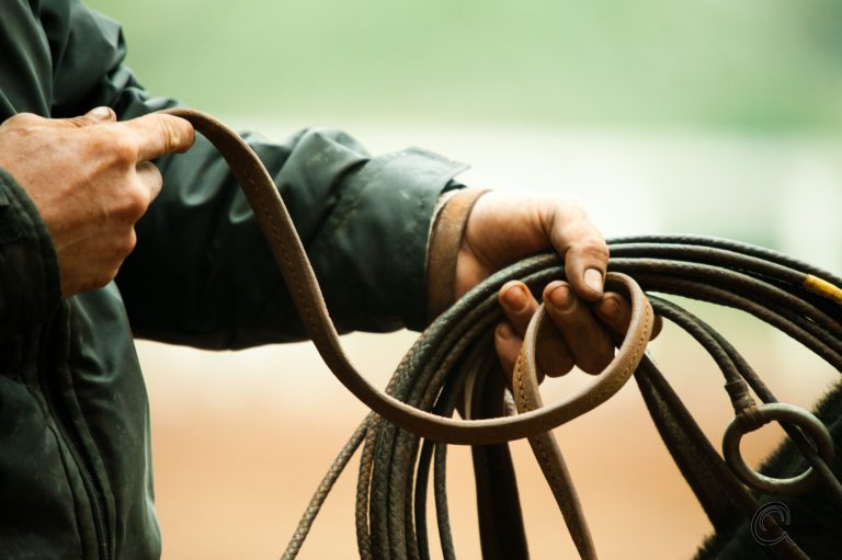 Saddle up! Rodeo is returning to Prince George