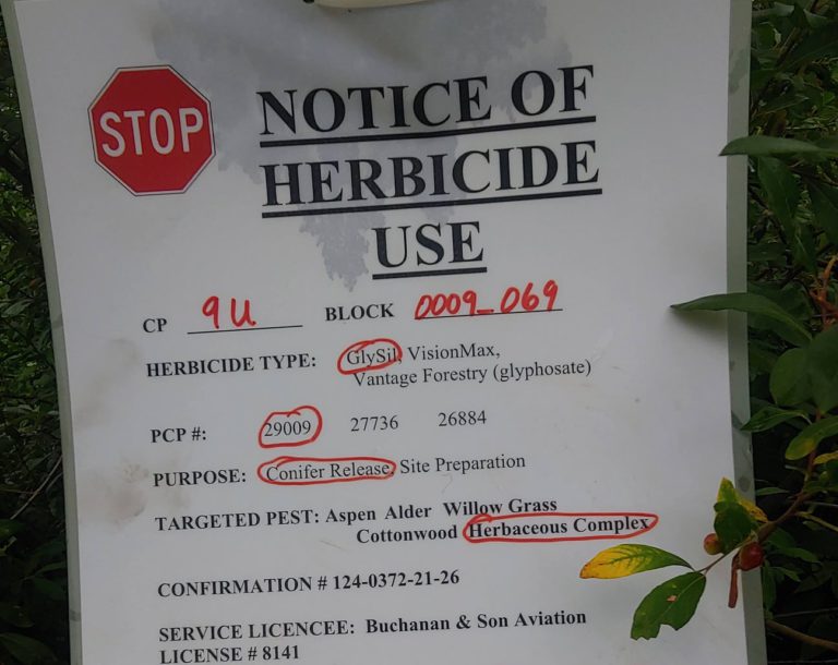 Local business owner faces consequences of herbicide spraying activity